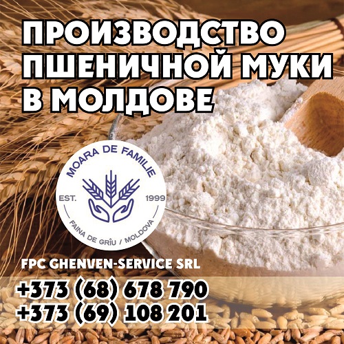 Цельно зерновая мука оптом Молдова Кишинев - цена от производителя